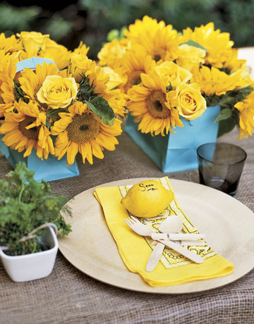 Lemon Plaice Cards ENTER0706 de Alfresco Glam Outdoor Table Decoration 